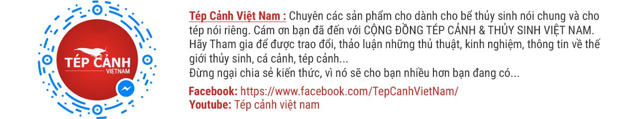 Tép cảnh Việt Nam
